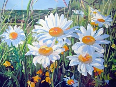 Archived Paintings - Ditch Daisies, 16x20