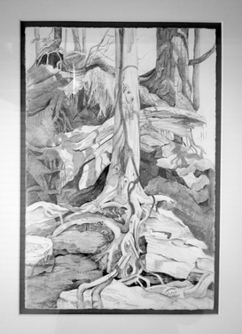 Rocks, Trees and Shadow Ribbons, 8x12, framed 14x18, Sold